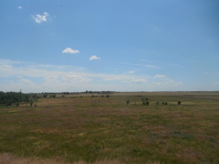 Асканія-Нова